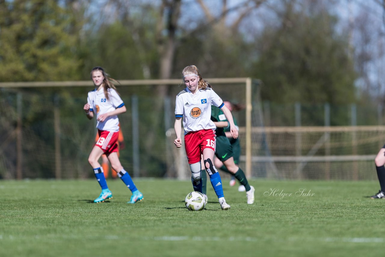 Bild 300 - wBJ Hamburger SV - WfL Wolfsburg : Ergebnis: 2:1